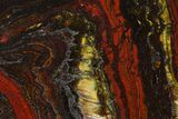 Polished Tiger Iron Stromatolite - Billion Years #129199-1